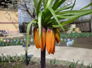 P1000244