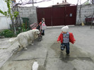 DSCN0464