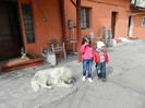 DSCN0440