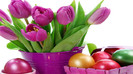 easters tulips