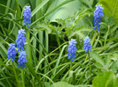 DSCN2299