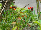 DSCN2315
