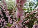 DSCN2317