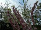 DSCN2325
