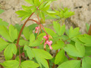 DSCN2336