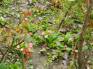 DSCN2348