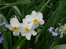 DSCN2352
