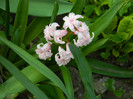 DSCN2355