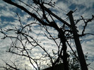 DSCN2358