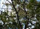 DSCN2433