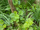 DSCN2441
