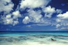 59932_poster2000