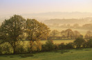 60833_poster2000