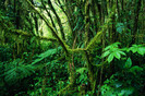 60906_poster2000
