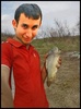 Vi-l prezint pe Jan..pestisorul meu auriu:x