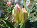 P1000245