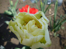 P1000249