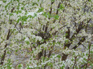 DSCN2372