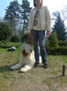 Corveta de Romania 10