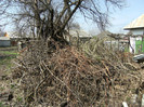 DSCF6713