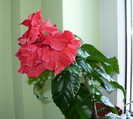 P1380332