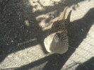 P11-04-12_13.19[1]