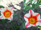 DSCN2405