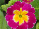 DSCN2422