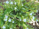 DSCN2423
