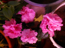 DSCN2427