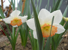 DSCN2375