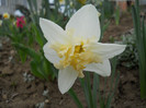 DSCN2378