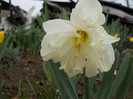 DSCN2382