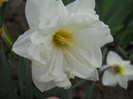 DSCN2383