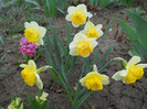 DSCN2384