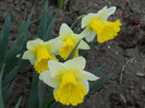 DSCN2391