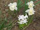 DSCN2395