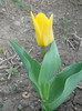 DSCN2397