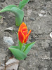 DSCN2404