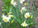 DSCN2405