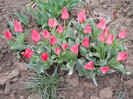 DSCN2407