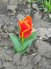 DSCN2416