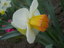 DSCN2421