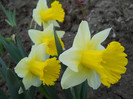 DSCN2423