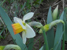 DSCN2426