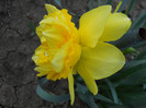 DSCN2427