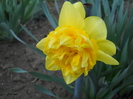 DSCN2428
