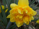 DSCN2429