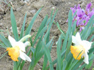 DSCN2430