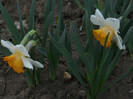 DSCN2431